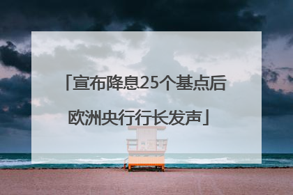宣布降息25个基点后 欧洲央行行长发声